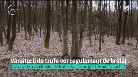 Vânătorii de trufe vor regulament de la stat