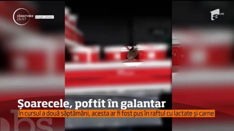 Conducerea hypermarketului unde a fost filmat un şoarece în frigiderul cu lactate susţine că acesta a fost pus acolo intenționat
