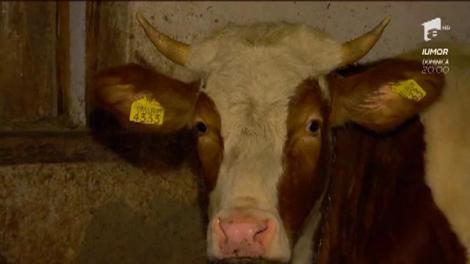 Desenul și hair styling-ul, pasiunile Georgetei din echipa lui Cornel Pâsat