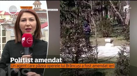 Un poliţist local care păzea operele lui Brâncuşi a fost amendat