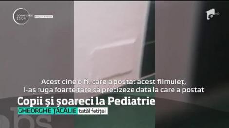 La Spitalul de Pediatrie din Craiova, copiii sunt internaţi cu şoarecii!