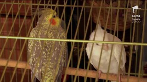 Alina Pușcaș, în căutarea celor mai frumoase și inteligente fete: "Raluca este o fire caldă, optimistă"