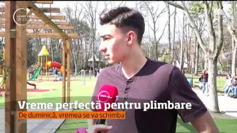 Vreme perfectă pentru plimbare