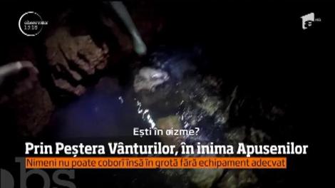 Peştera V&acirc;ntului, cel mai nou obiectiv speologic. C&acirc;t de greu este să ajungi &icirc;n partea cea mai spectaculoasă a peşterii