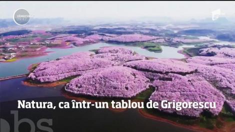 Primăvara face minuni cu natura. Peisajele sunt de o frumuseţe copleşitoare