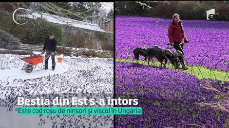 Bestia din Est loveşte din nou Marea Britanie. Zăpada, frigul şi vântul puternic au provocat haos în Regat