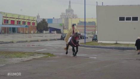 Daniel Andruș a venit călare pe cal tocmai din Ardeal, cu multe daruri pentru jurați. Cheloo: ”Cadourile au fost sub orice critică. A venit cu poșircă. Mă simt disprețuit”