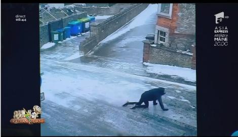 Smiley News. Cum se trece strada in patru labe, pe gheață