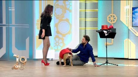 Cristina Strecopitov a venit la Neatza cu cățelușa Buffy! Dani, despre viteza patrupedului: "Zici că e Răzvan când vede zăpadă în fața casei"