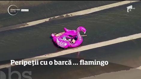 Aventură pe râul Los Angeles cu o barcă sub forma unei păsări flamingo