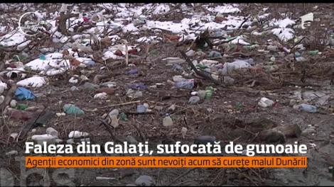 Dunărea creşte, gunoaiele vin! În urma topirii zăpezii, tone de deşeuri au apărut pe faleza din Galaţi