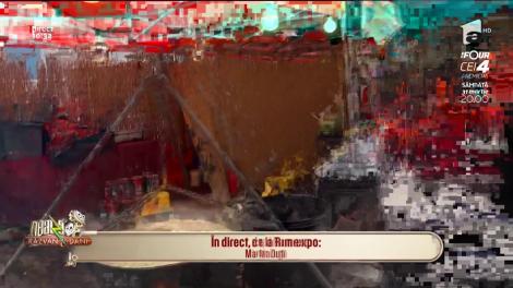 Festival cu produse din pește! Sarkadi Sandor, bucătar: "Avem două feluri de ciorbe"