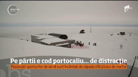 Pe p&acirc;rtie e cod portocaliu... de distracție