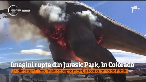 Imagini ca în Jurasic Park, suprinse în Colorado. Un dinozaur T-Rex, înalt de şapte metri, a fost cuprins de flăcări
