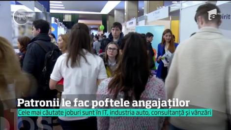 Cele mai căutate joburi sunt IT, industria auto, consultanță și vânzări