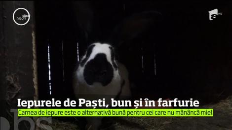 Iepurele de Paști, bun și în farfurie