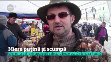 Miere puțină și scumpă. La Sărbătoarea Mierii de la Blaj au venit peste 150 de apicultori, din 14 țări
