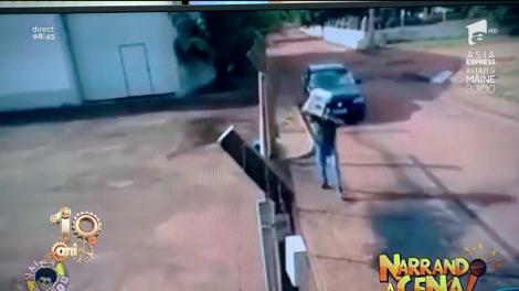 Smiley News. Cum se livrează un colet în Brazilia