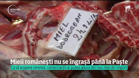 De Paşte, mielul vine din Noua Zeelandă