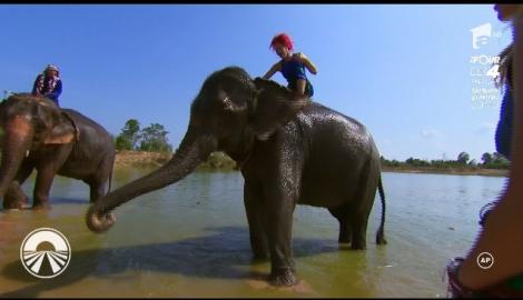 Cea mai frumoasă provocare de până acum pentru Ana şi Raluka. Cele două concurente trec la spălat... elefanţi: "Este momentul nostru preferat"