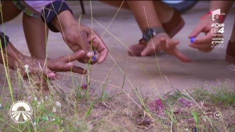 Camere pline de furnici sau dormitul pe terasă. Concurenţii de la “Asia Express” încă rezistă: "Când am văzut muşuroiul ăla, am zis că renunţ"