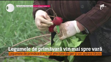 Vremea rece a scumpit legumele proaspete de pe masa de Paşte