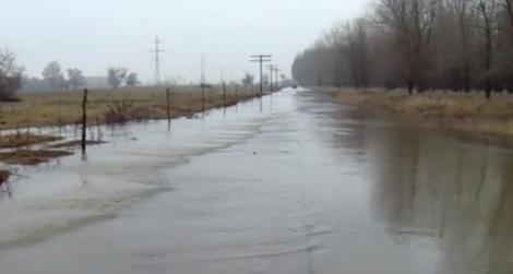 Încălzirea bruscă a vremii creează probleme în judeţele Tulcea şi Galaţi