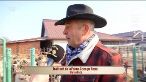 O zi la ferma Cocoșu' Roșu