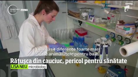 Atenție, părinți! Simpaticele răţuşte pentru baie sunt un ADEVĂRAT PERICOL pentru copii! Îi pot îmbolnăvi GRAV pe cei mici: "Microbul este asociat cu infecţiile intraspitaliceşti"