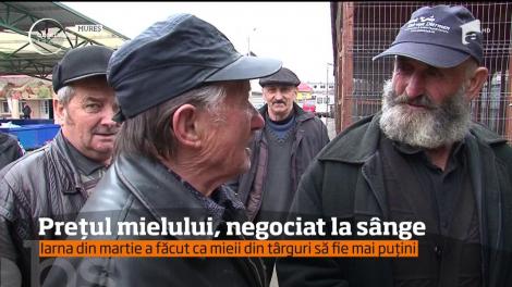 Iarna din martie a îngheţat şi primele legume care au răsărit în solarii şi le-a încetinit creşterea