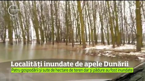 Apele Dunării s-au revărsat în două comune din Tulcea