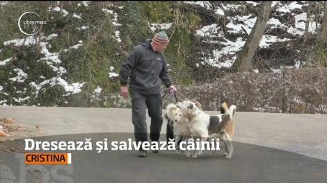 Câinele pe care-l adopţi va fi dresat gratuit!