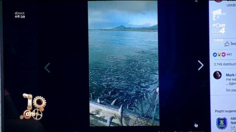 Smiley News. Atunci cand e Dezlegare la pește în Postul Paștelui!