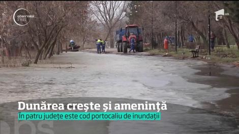 Alertă în ROmânia. Mai multe județe sunt amenințate chiar la această oră. Dunărea crește îngrijorător!