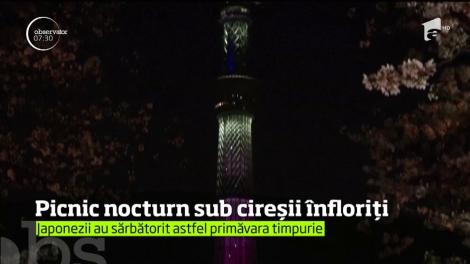 Japonezii au sărbătorit primăvara timpurie printr-un picnic nocturn