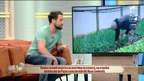 De Paște, avem miei mai slabi și mai scumpi decât în anii trecuți