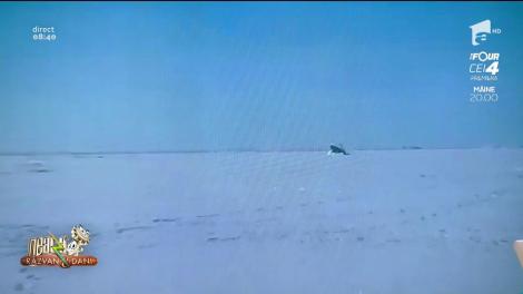 Cum iese de sub gheață un submarin atomic: "Știu că nu vă vine să  credeți!"