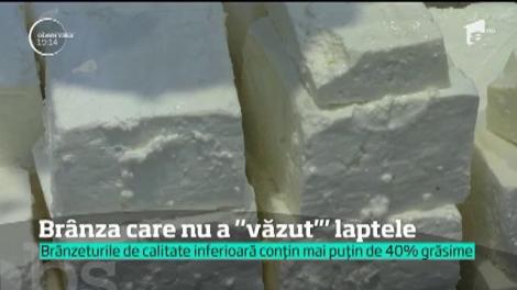 Cum poți să îți dai seama că o bucată de brânză e contrafăcută. E foarte simplu!