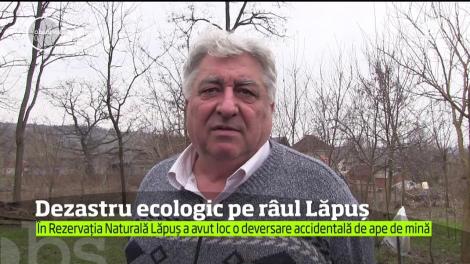 Dezastru ecologic în Rezervaţia Naturală Cheile Lăpuşului