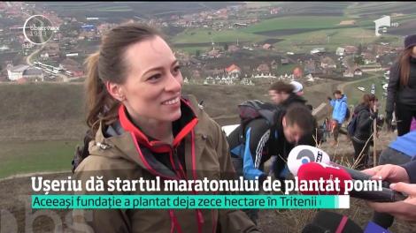 Recuperat după ultramaratonul câştigat la Cercul Polar, Tibi Uşeriu s-a întors la muncă