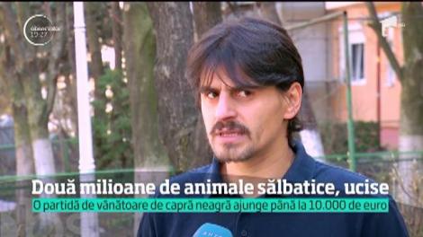 Autorităţile dau undă verde la vânătoare de capre negre, cerbi şi marmote. Toate sunt specii pe cale de dispariţies