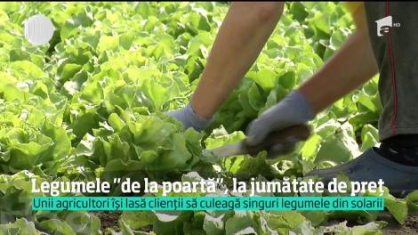 Pe o piaţă sufocată de importuri, afacerea cu legume vândute la poartă înfloreşte tot mai mult
