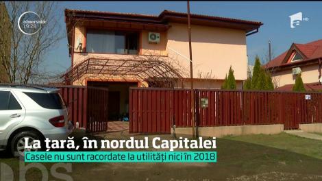 S-au îndatorat pe viaţă pentru o casă de lux în nordul Capitalei şi au ajuns să trăiască în mijlocul noroaielor, înconjuraţi de maidanezi