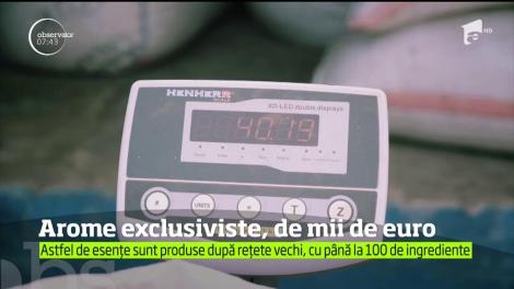 Elegante, originale şi mai ales.exclusiviste. Parfumurile de nişă iau acum locul celor clasice realizate de casele de modă celebre