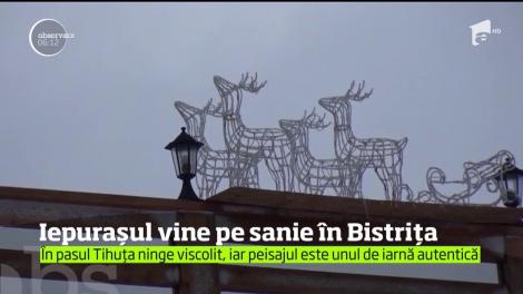 Iarna prelungită din martie a umplut internetul de glume despre iepuraşul de Paşti care ar veni pe sanie