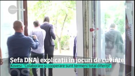 Șefa DNA, explicații &icirc;n jocuri de cuvinte
