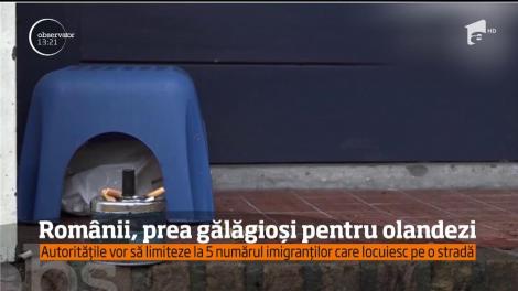 Românii, nedoriţi în patru oraşe olandeze! Autorităţile locale vor să limiteze numărul de est-europeni