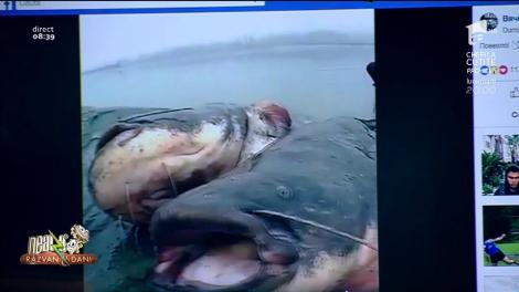 Smiley News. Iată fotografia pe care orice pescar ar vrea să o facă