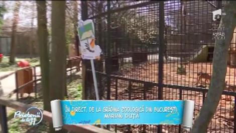 Grădina Zoologică din București, deschisă pentru vizitatori în perioada Paștelui
