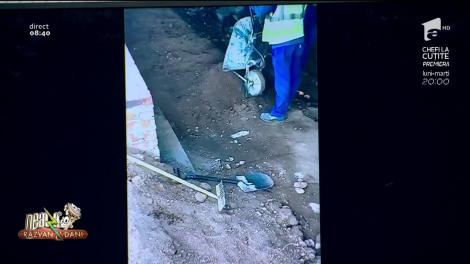 Smiley News. Dorel este peste tot în lume. Muncitorii, lopata și roaba